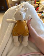 Doudou Noukies musical 