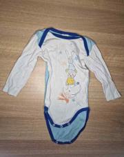 Body lapin