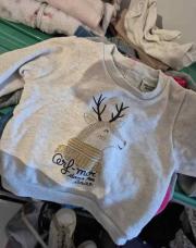 Pull cerf tao t9mois