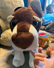 Nounours 