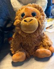 Nounours 