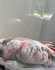 LOT chaussettes toutes tailles 