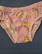 Culotte hippocampe 100