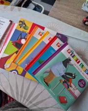 Lot 6 livres petit loup