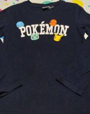 Pull POKEMON 110/116