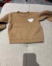 Pull marron koala 