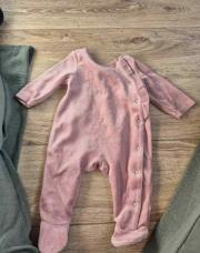 Pyjama rose 