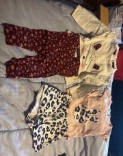 Lot 2 ensemble 