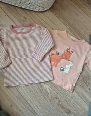 2 pulls longue manche biche et lignee