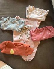 Lot 5 bodys manche courte 68