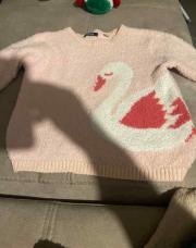 Pull cigne 5 ans 