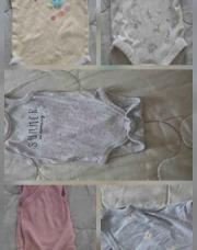 Lot body