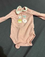 Body obaibi renard 6M