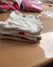 Lot body 74 