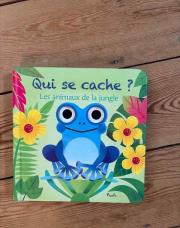 Livre qui se cache
