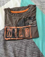 T-shirt dinosaure 5 ans