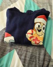 Pull bluey 5 ans