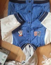 Veste bleu blanc mickey 86