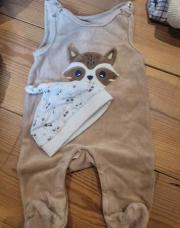 Ensemble renard + bonnet 