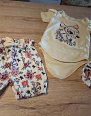 Ensemble bambi 9-12