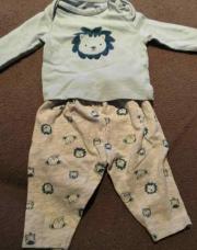 ensemble lion 