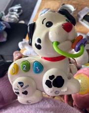 Chien vtech 