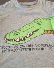 Thee shirt DINOSAURE 92