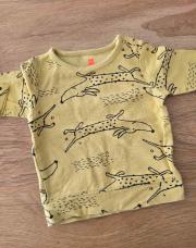 Pull jaune teckel 68cm