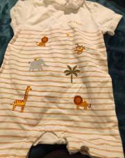 Combi short sergent major 