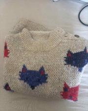 Pull renards DPAM 6