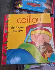Livre caillou