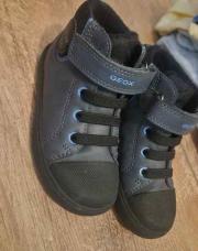 Geox 24
