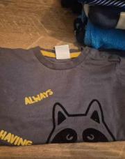 Pull 9mois raton gris 