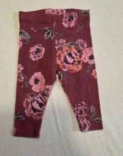 Pantalon next rose fleur 6-9M