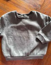 Sweat dinosaure 9 mois tex 