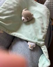 Doudou domiva vert menthe 