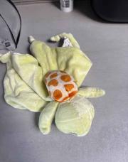 Doudou tortue