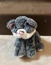 Peluche chaton