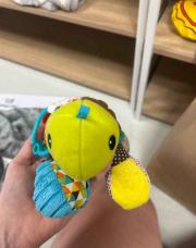 Tortues 