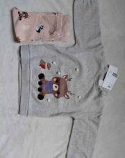 Tenue hiver cerf