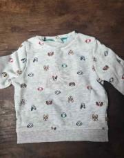 Pull chien