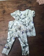 Ensemble jungle