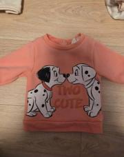 Pull dalmatiens 3mois 