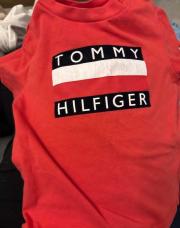 Thélio T shirt tommy 