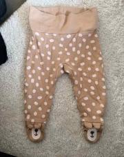 Legging orsolino 56