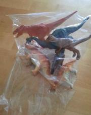 6 dinos