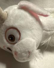 Peluche wish 