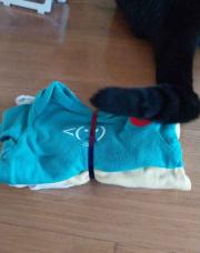 TAO lot body 1 à 3 mois 
