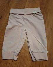Legging 62 cm