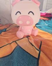 Lampe cochon 